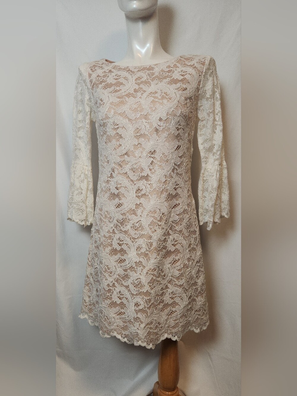 Eliza J Off-White Lace Mini Dress With Ruffled Sleeves Size 6